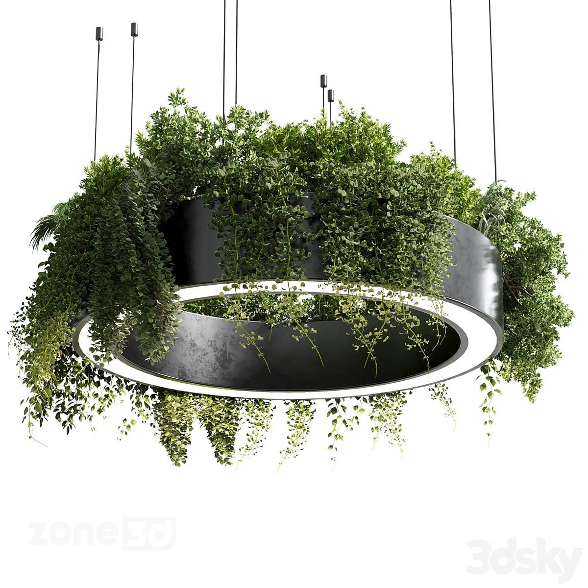 آبجکت فلاور باکس و چراغ آویز گرد فلزی مدرن به همراه گیاهان