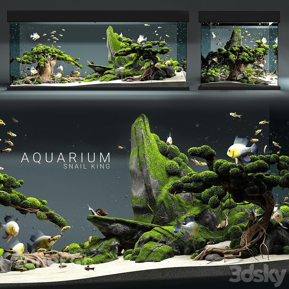 آبجکت ست آکواریوم دکوری مدرن مربع و مستطیل به همراه ماهی و تزئینات مدل snail king