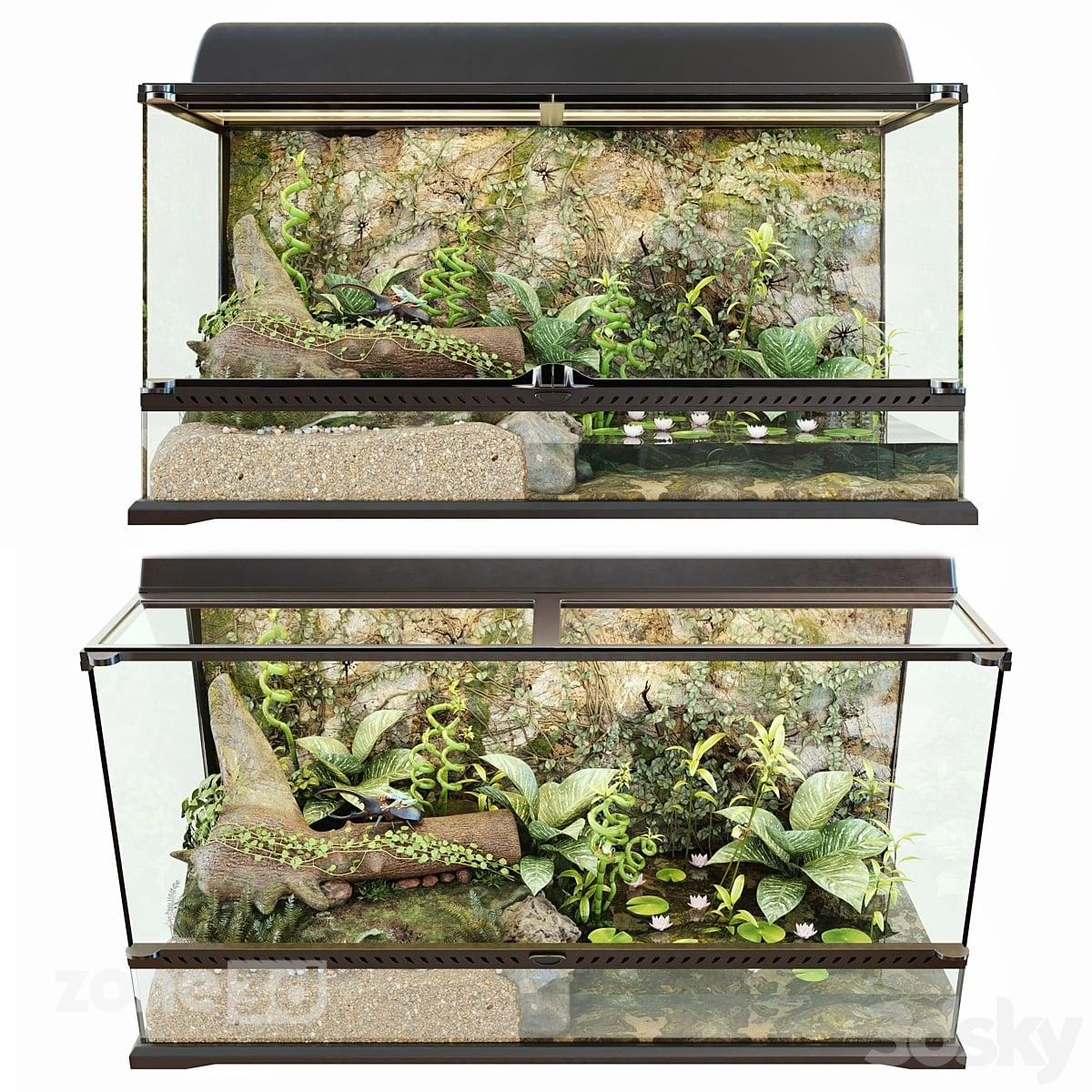 آبجکت تراریوم مدرن خانگی با بدنه شیشه ای به همراه گیاه و موجودات آبزی