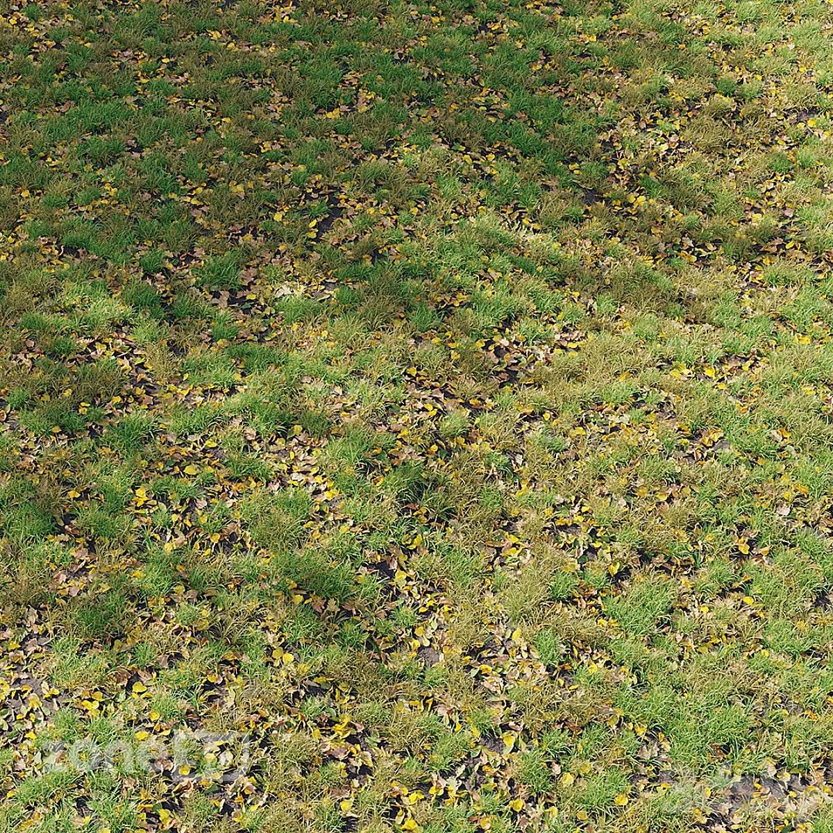 آبجکت چمن سبز و زرد پاییزی محوطه به همراه برگهای خشک پاییزی