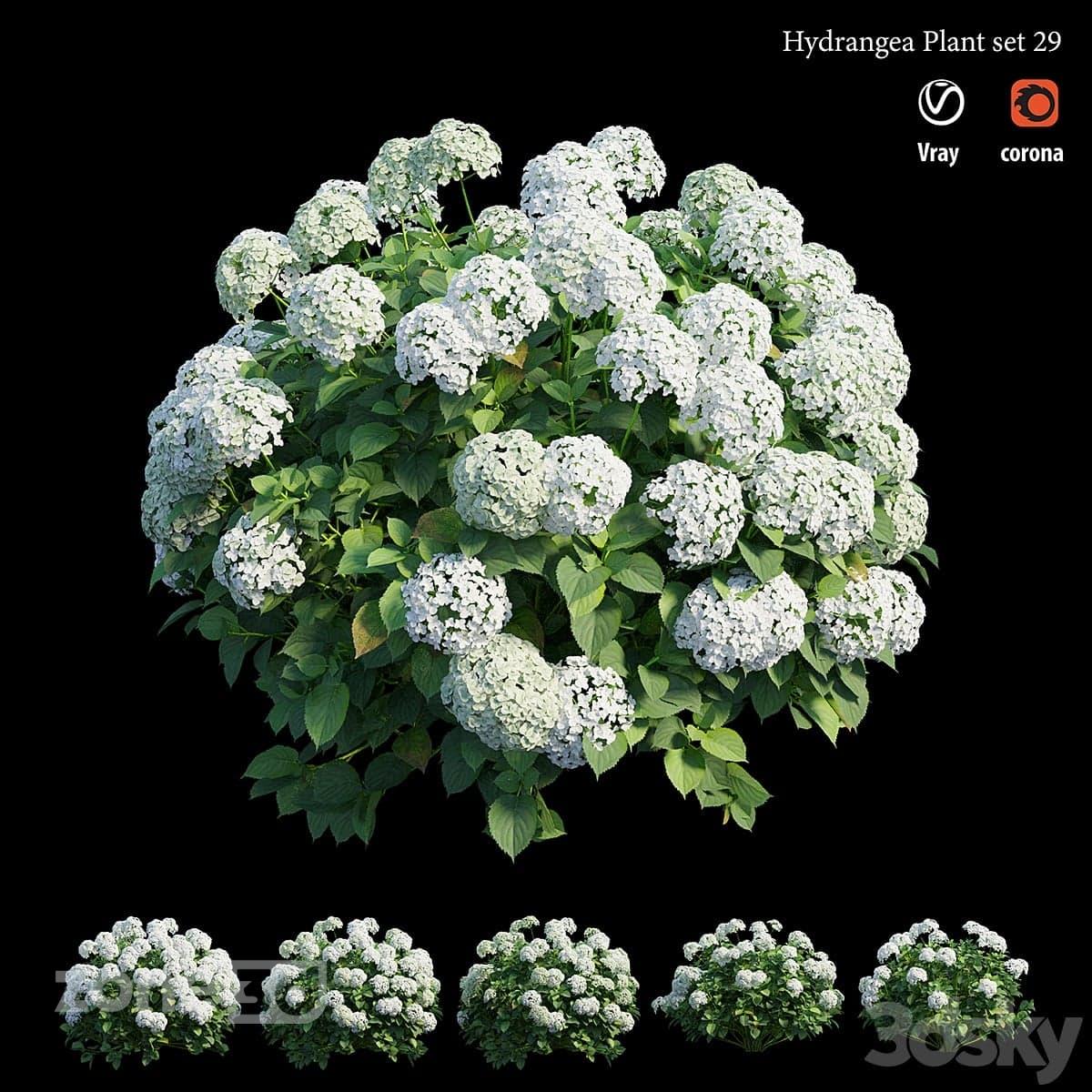 آبجکت ست بوته سبز گیاهان به همراه گل سفید پنج عددی برای محوطه