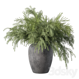 آبجکت معماری گل آپارتمانی سبز به همراه گلدان بتنی